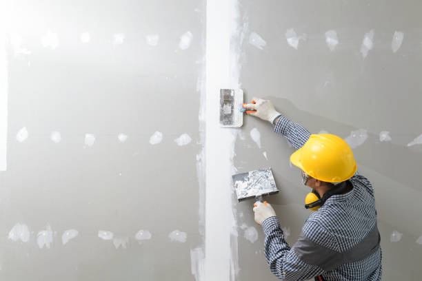 Best Black Mold Removal  in Dover, TN