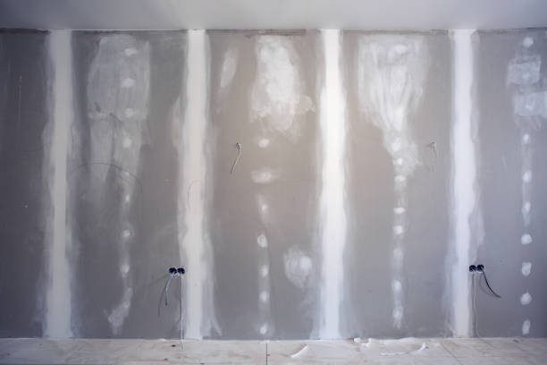 Professional Mold Removal in Dover, TN